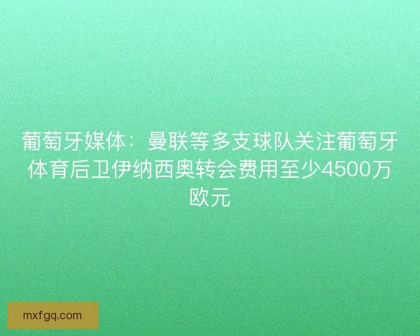 葡萄牙媒体：曼联等多支球队关注葡萄牙体育后卫伊纳西奥转会费用至少4500万欧元