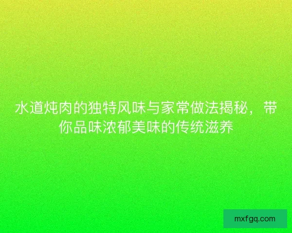 水道炖肉的独特风味与家常做法揭秘，带你品味浓郁美味的传统滋养